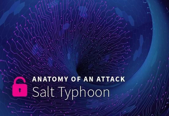 cover image for CISA Alert on Salt Typhoon